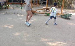 我要尝尝你的扇贝肉